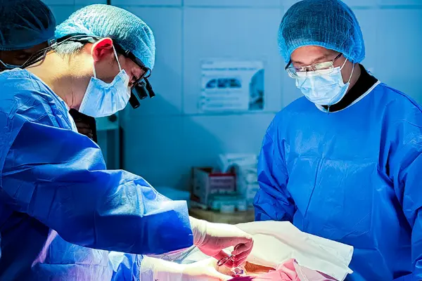 A confident doctor in a white coat with a stethoscope