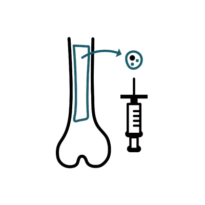Bone Marrow Transplant