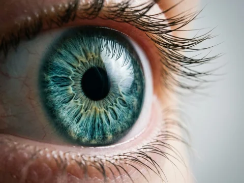 Eye & Vision in Thailand