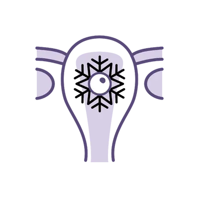 Frozen Embryo Transfer