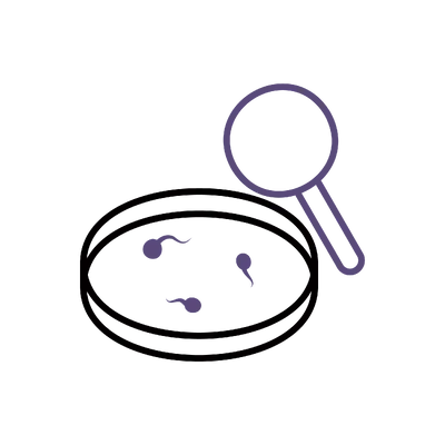 Sperm Analysis & Testing in Thailand: Cost, Top Surgeons & Hospitals