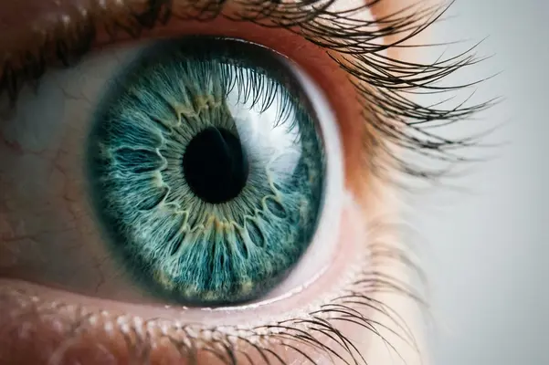 Vision Correction